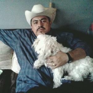 Meet your Posher, Julio